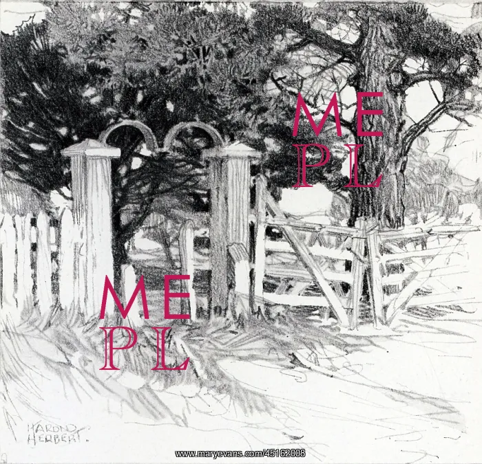 : The Old Park Gates : The Old Park Gates