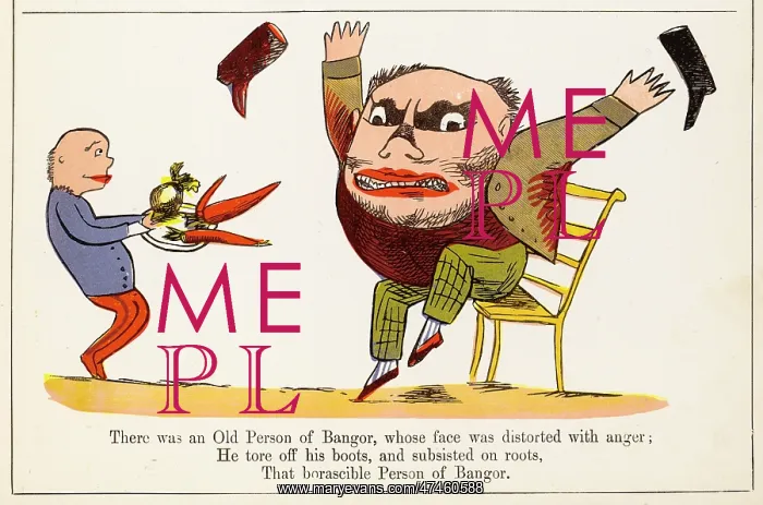: Old Person of Bangor, Edward Lear : Old Person of Bangor, Edward Lear
