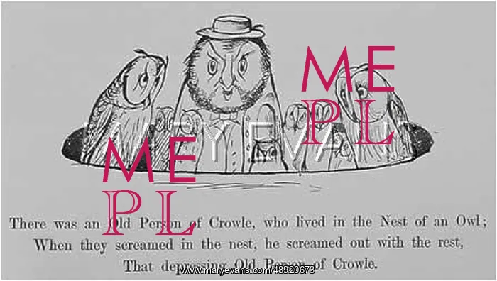 : Old Person of Crowle, Edward Lear : Old Person of Crowle, Edward Lear