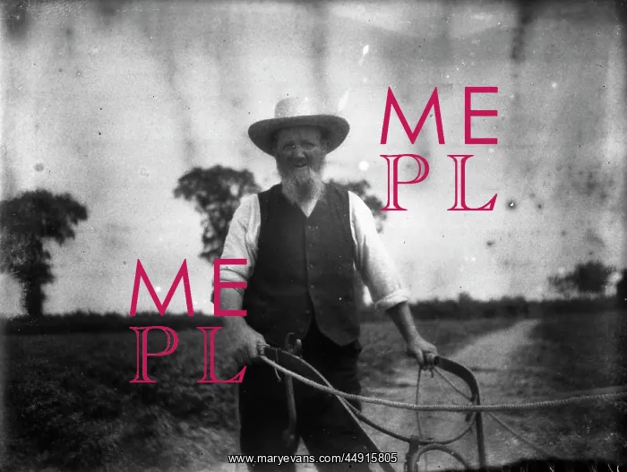 : The Old Ploughman : The Old Ploughman