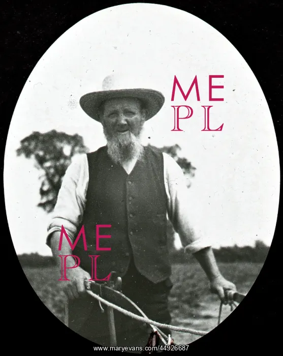 : The old ploughman, Pincott Fields : The old ploughman, Pincott Fields