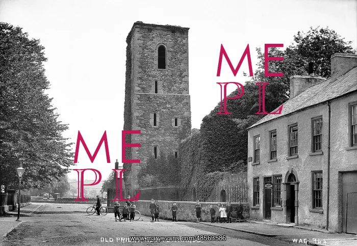: Old Priory, Newtownards : Old Priory, Newtownards