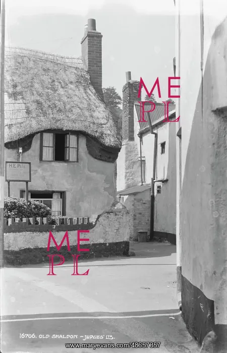 : Old Shaldon : Old Shaldon