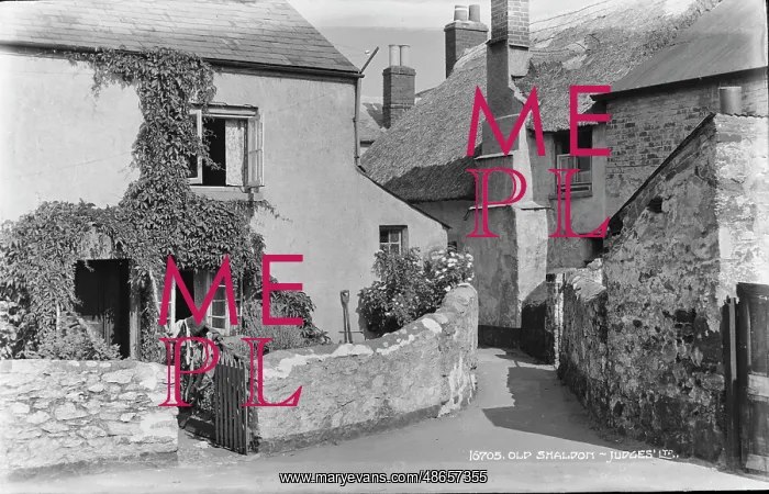 : Old Shaldon - Judges Tip : Old Shaldon - Judges Tip