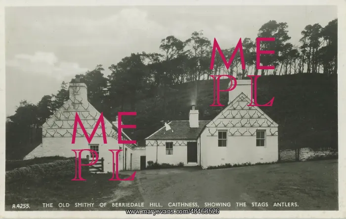 : The Old Smithy : The Old Smithy