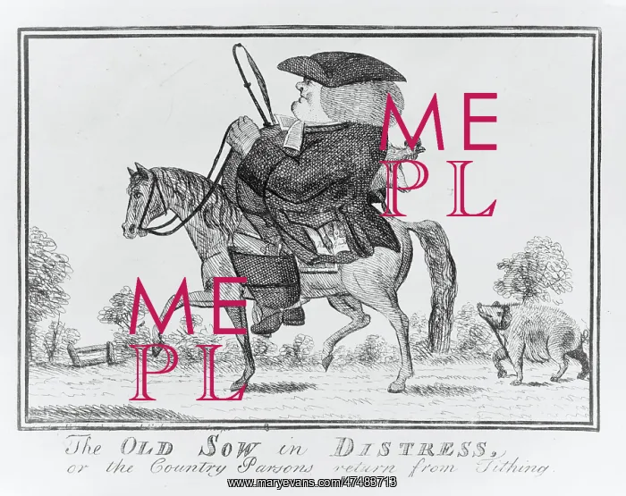 : The old sow in Distress, or the country parsons return from : The old sow in Distress, or the country parsons return from