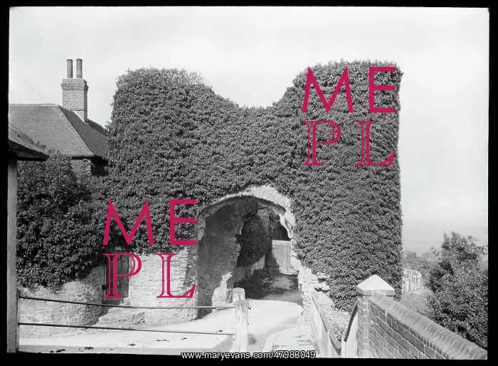  : Old stone archway overgrown with leaves