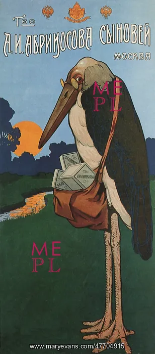 : Old Stork with Bag