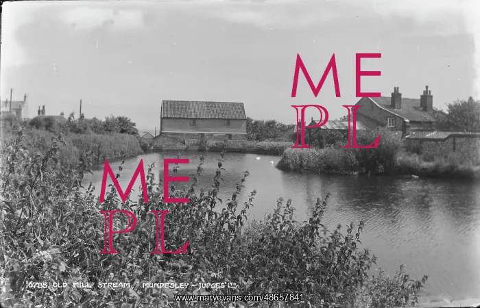: Old Mill Stream : Old Mill Stream