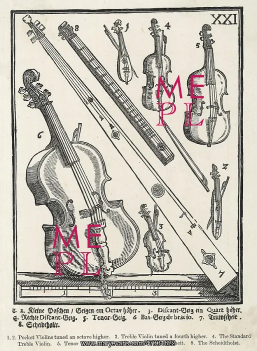 : OLD STRING INSTRUMENTS : OLD STRING INSTRUMENTS