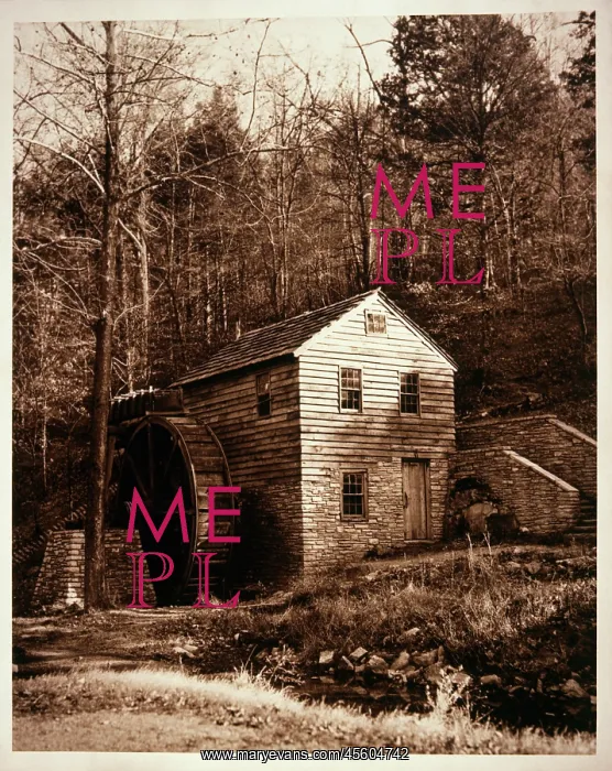 : An old mill surrounded by trees : An old mill surrounded by trees