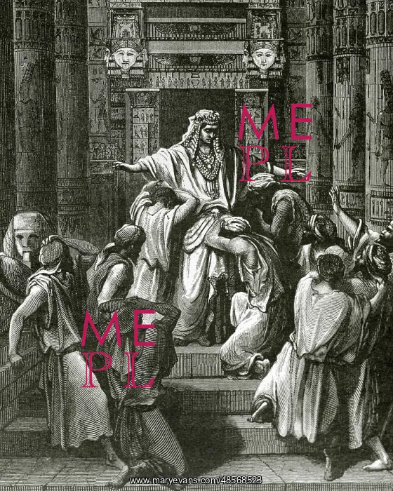 : Old Testament. Joseph makes himself known to his brethren. D : Old Testament. Joseph makes himself known to his brethren. D