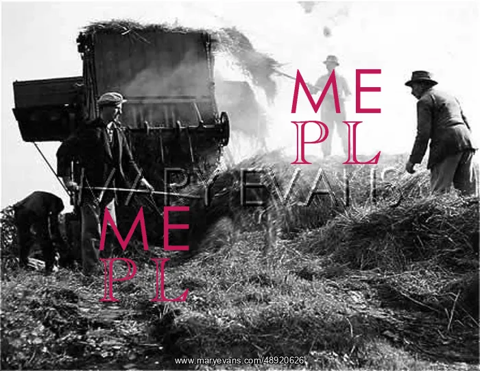 : OLD THRESHING MACHINE : OLD THRESHING MACHINE