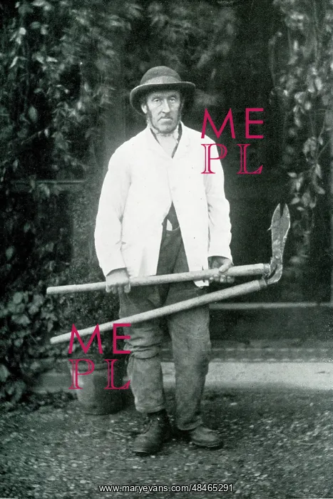 : Old Tom, gardener and farm labourer, in later years : Old Tom, gardener and farm labourer, in later years