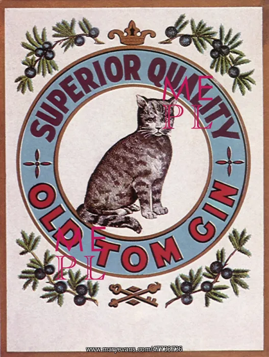  : Old Tom Gin