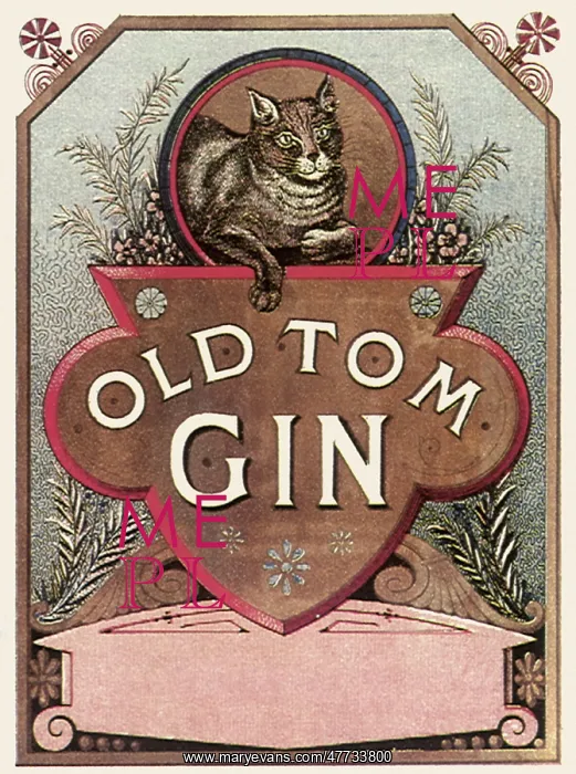  : Old Tom Gin