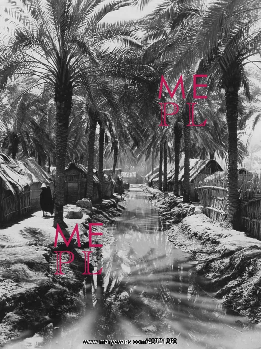 : Old village in the Basra area : Old village in the Basra area