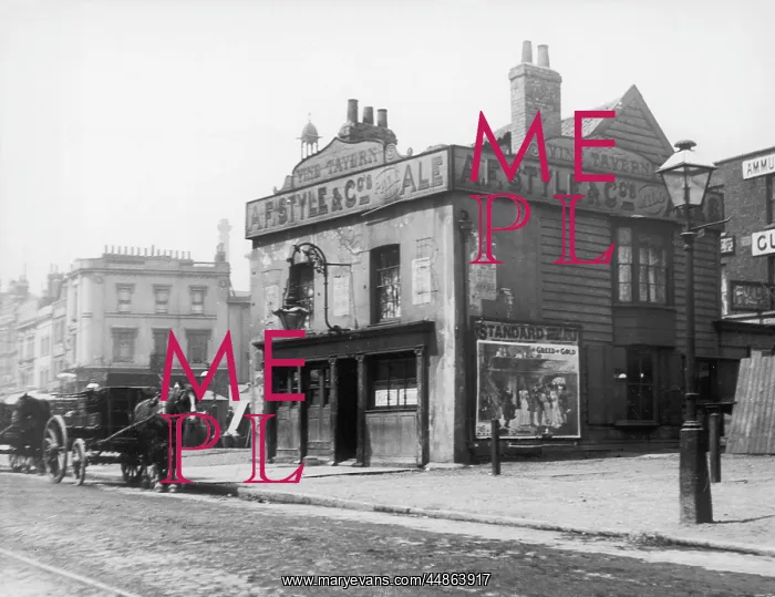 : THE OLD VINE TAVERN : THE OLD VINE TAVERN