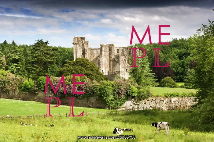 : Old Wardour Castle : Old Wardour Castle
