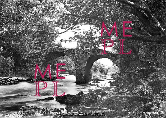 : Old Weir Bridge and Rapids, Killarney : Old Weir Bridge and Rapids, Killarney