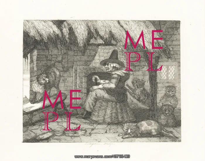 : The Old Woman and her Cats : The Old Woman and her Cats