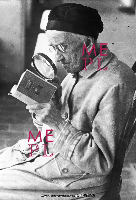 : Old woman reading a book : Old woman reading a book