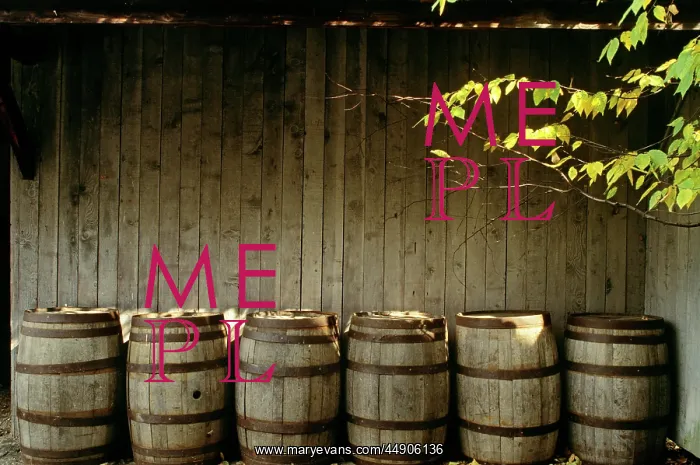  : Old wooden barrels and tree limb