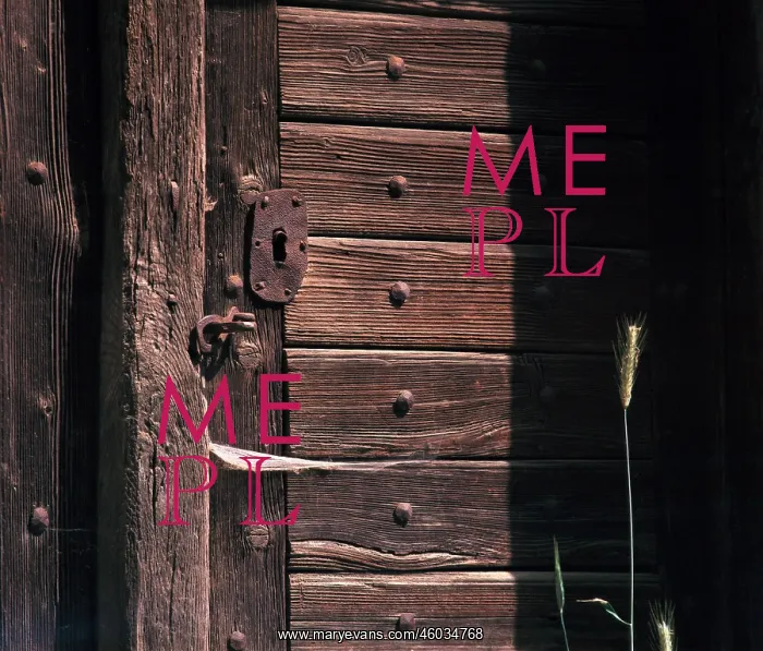 : Old wooden door : Old wooden door