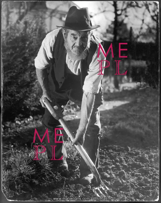 : OLD YOKEL GARDENER : OLD YOKEL GARDENER