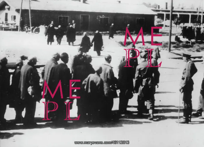 : Older men are led by the SS men directly : Older men are led by the SS men directly