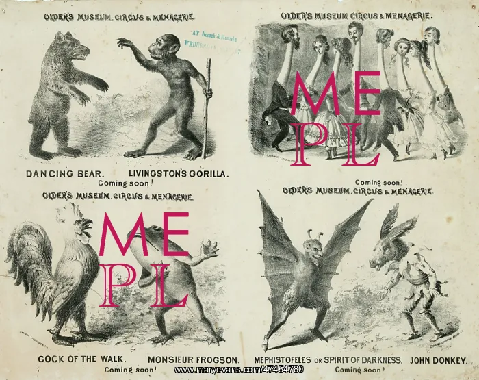 : Older's museum, circus & menagerie : Older's museum, circus & menagerie
