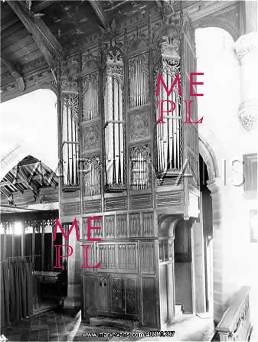 : THE OLDEST ORGAN CASE : THE OLDEST ORGAN CASE