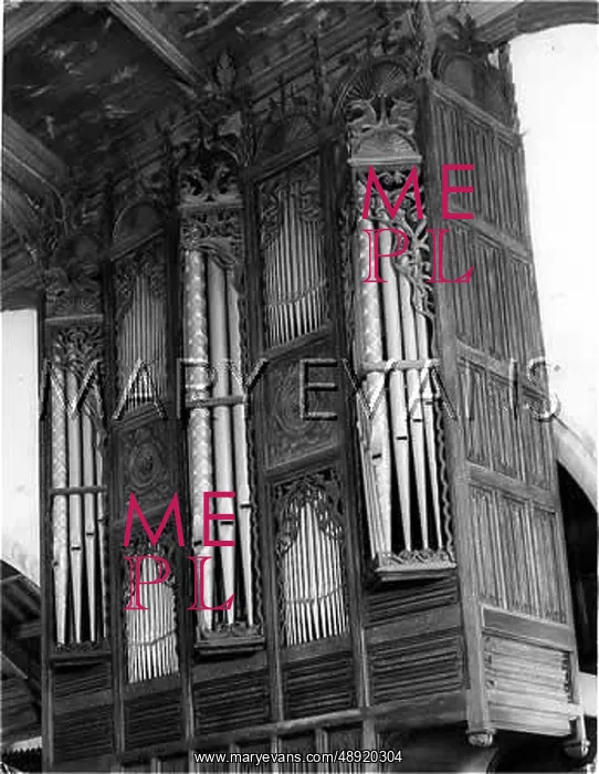 : THE OLDEST ORGAN CASE : THE OLDEST ORGAN CASE