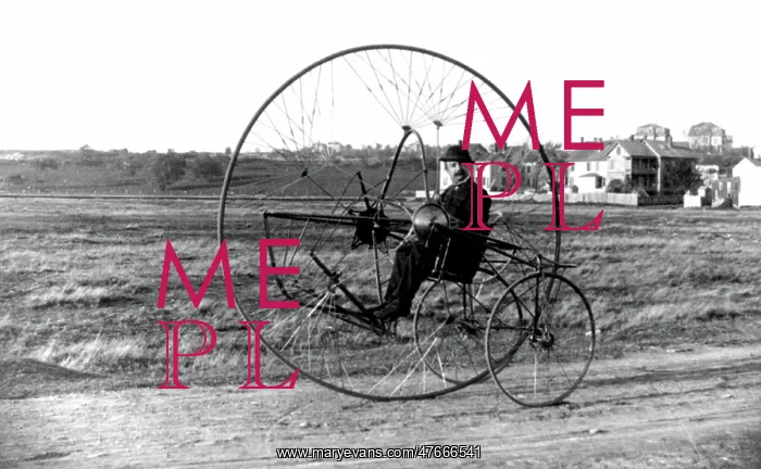 : Oldreive Tricycle, 1882 : Oldreive Tricycle, 1882