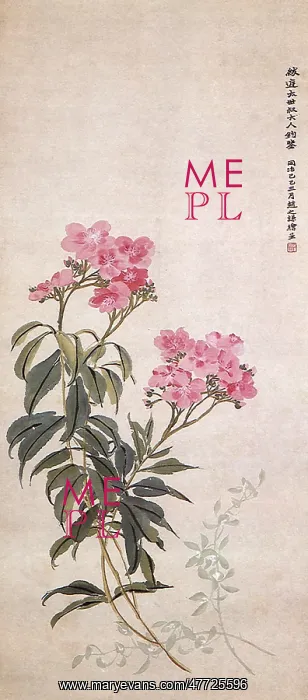  : Oleander
