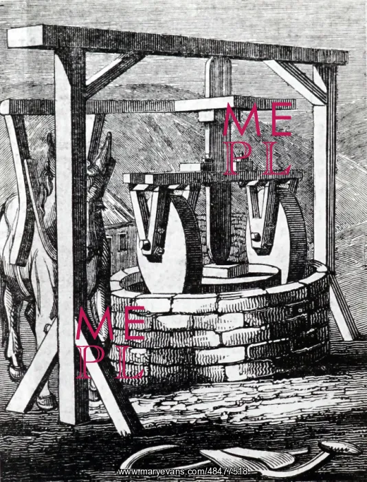  : An Olive mill