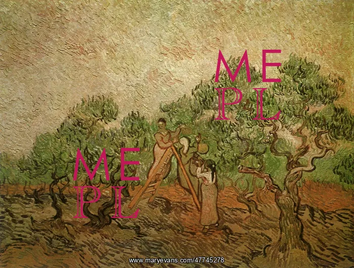  : Olive Picking, by Van Gogh