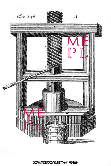  : Olive Press to make Olive Oil