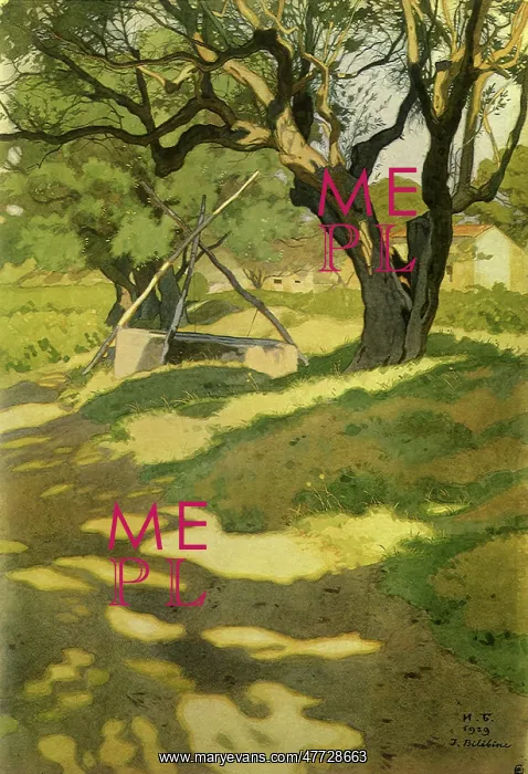  : Olive Trees