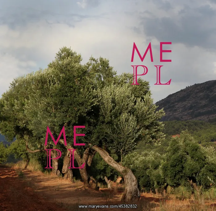 : Olive trees, Horta de Sant Joan, Terra Alta, Tarragona : Olive trees, Horta de Sant Joan, Terra Alta, Tarragona