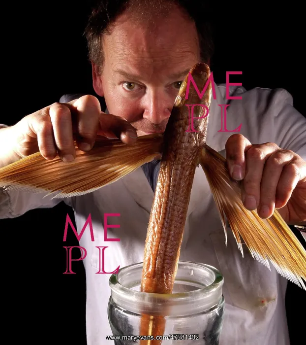 : Oliver Crimmen with fish specimen : Oliver Crimmen with fish specimen