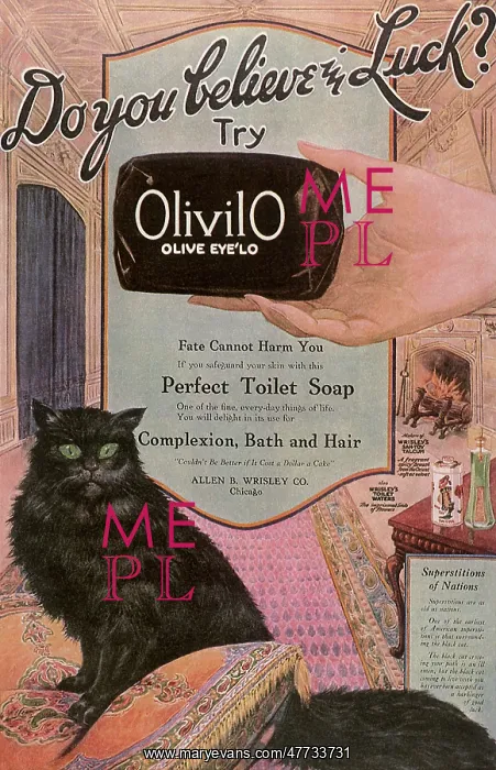  : Olivilo Soap Advertisement with Black Cat