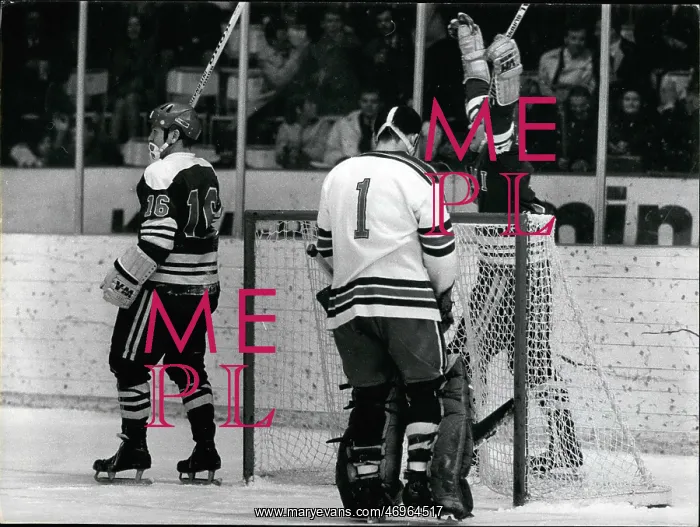 : Olympic Hockey : Olympic Hockey