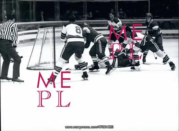 : Olympic Hockey : Olympic Hockey