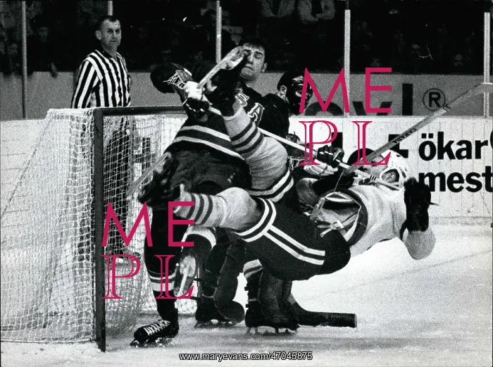 : Olympic Hockey : Olympic Hockey