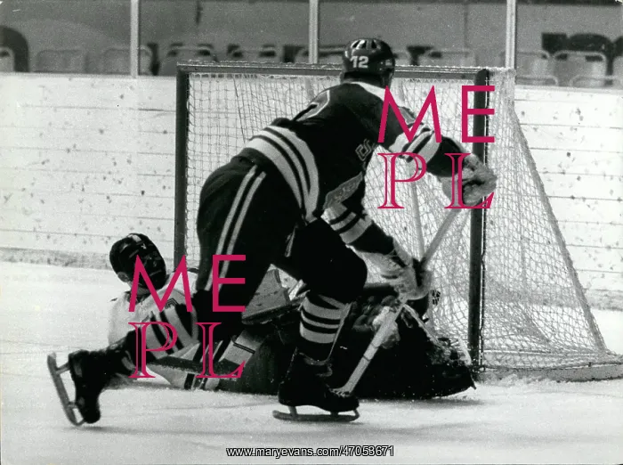 : Olympic Hockey : Olympic Hockey