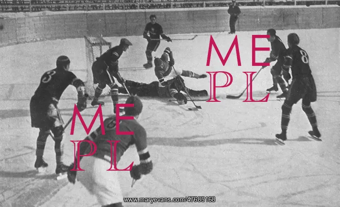  : Olympic Ice Hockey