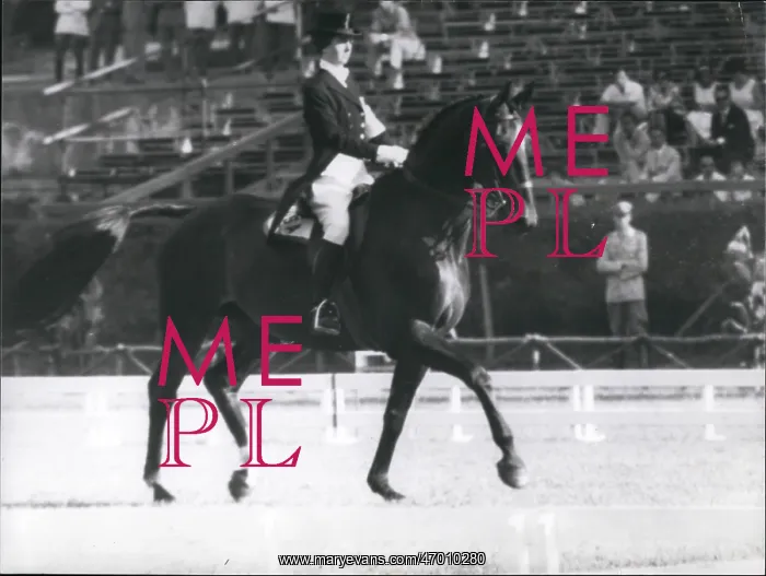 : Olympics - Pan American Games : Olympics - Pan American Games