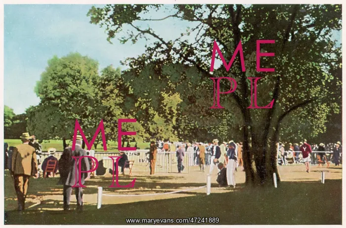 : OLYMPICS / PARIS 1900 BOIS : OLYMPICS / PARIS 1900 BOIS