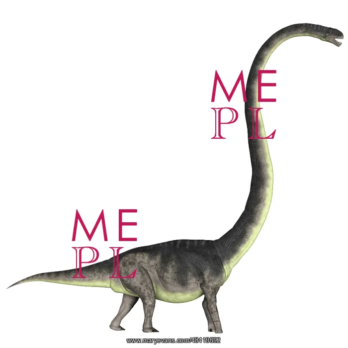 : Omeisaurus dinosaur : Omeisaurus dinosaur
